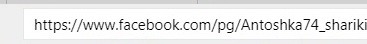 Actually, the user name repeats your page’s URL-address