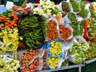 How to Start a Flower Business